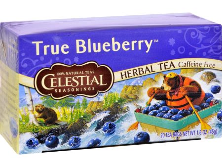 Celestial Seasonings Herbal Tea - Caffeine Free - True Blueberry - 20 Bags Supply