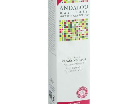 Andalou Naturals Cleansing Foam - 1000 Roses - 5.5 Oz Online